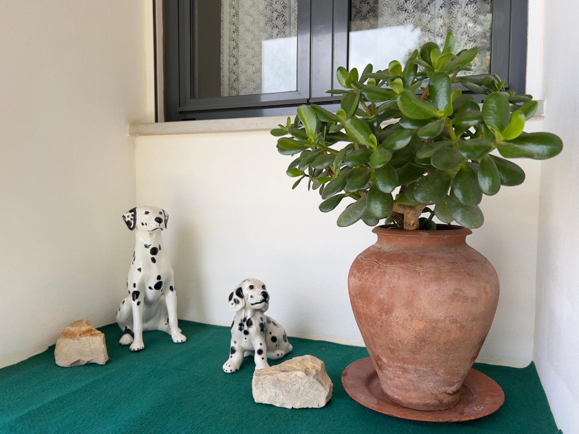 Appartement Casa Jasmin Lagos